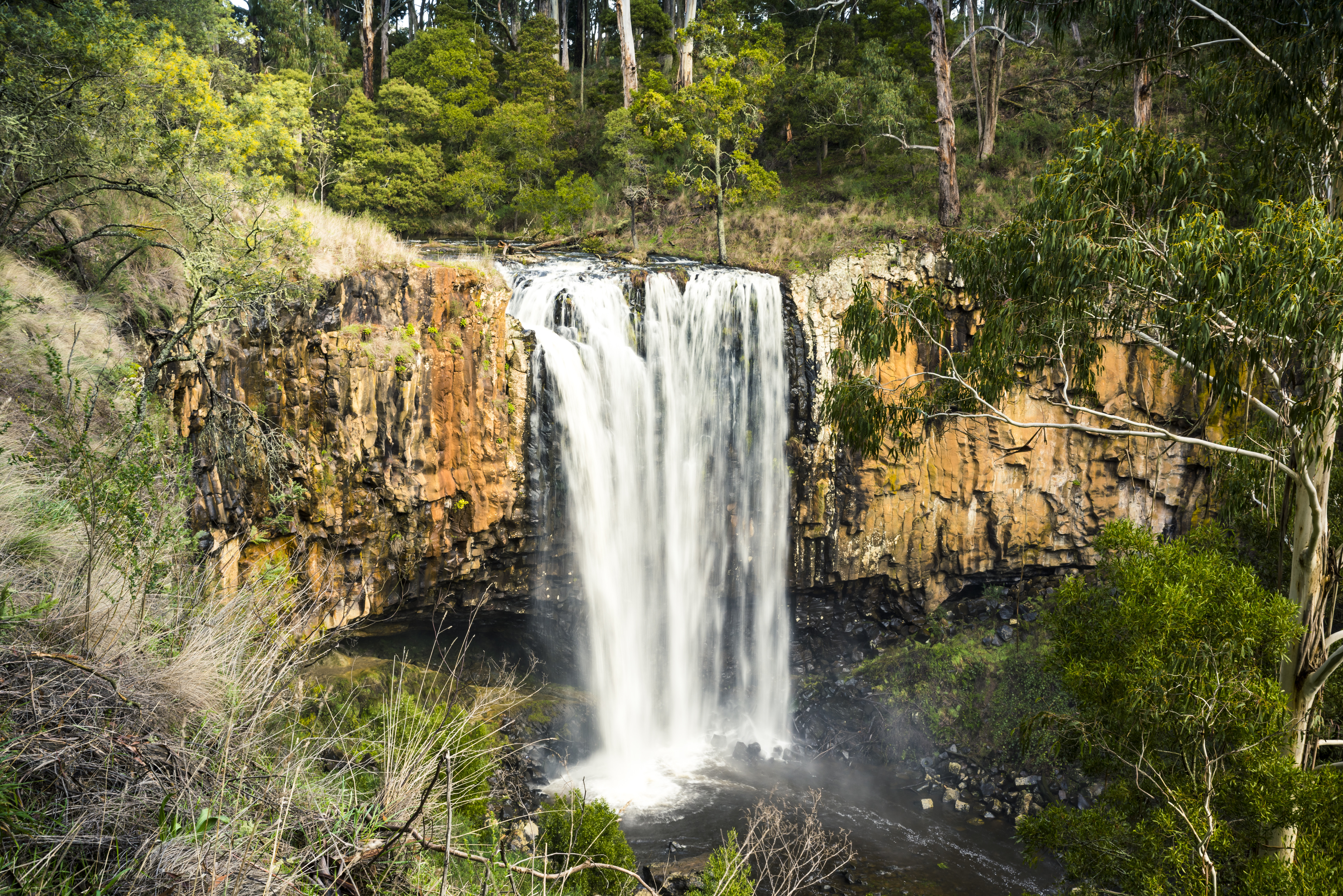 Trentham waterfall